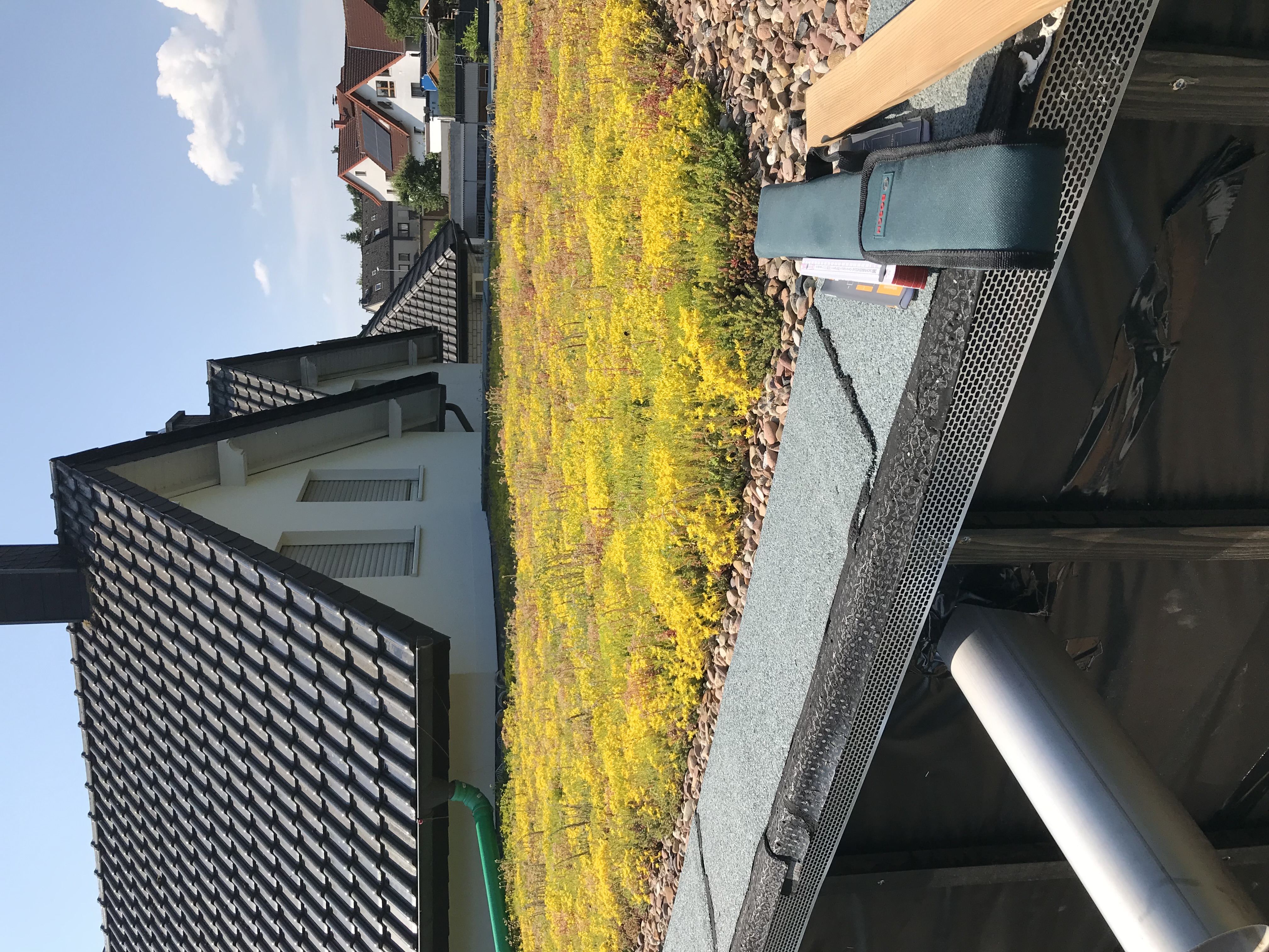 Dachbegrünung